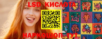 spice Тара