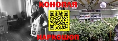 spice Тара