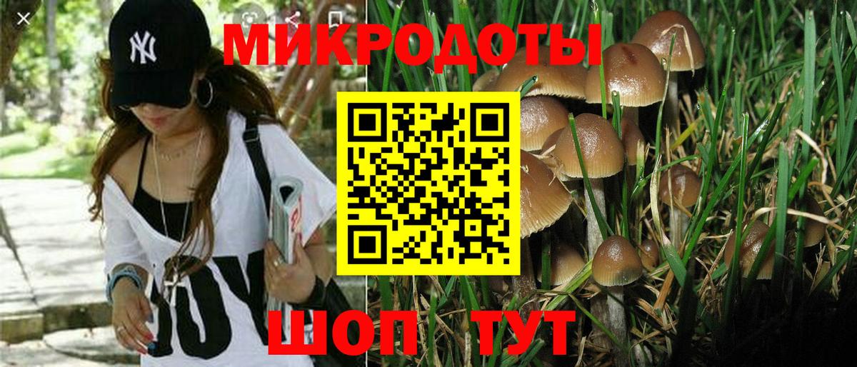 Псилоцибиновые грибы Magic Shrooms Обь